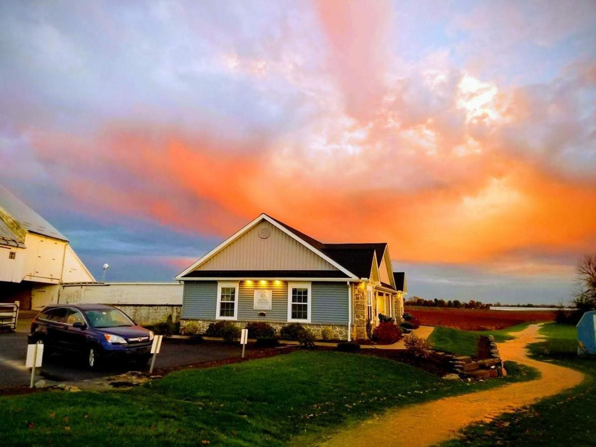 Hertzog Homestead Bed & Breakfast 에프라타 외부 사진